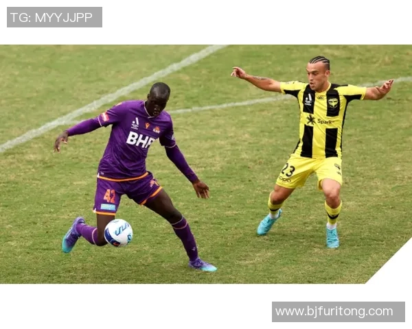 惠灵顿凤凰与纽卡斯尔联比赛数据分析及战术对比探讨